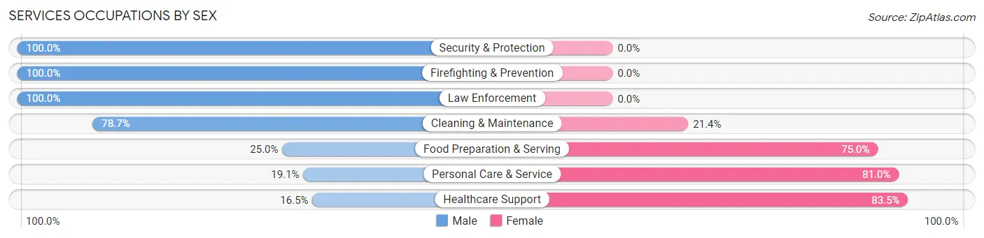 Services Occupations by Sex in Zip Code 41858