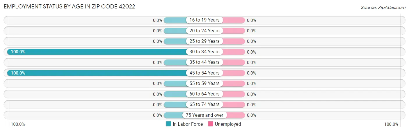 Employment Status by Age in Zip Code 42022