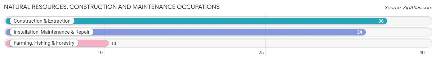 Natural Resources, Construction and Maintenance Occupations in Zip Code 42023