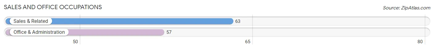 Sales and Office Occupations in Zip Code 42027