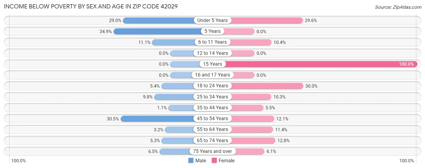 Income Below Poverty by Sex and Age in Zip Code 42029