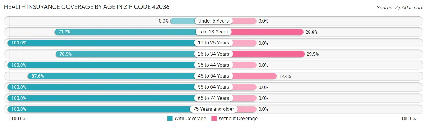Health Insurance Coverage by Age in Zip Code 42036