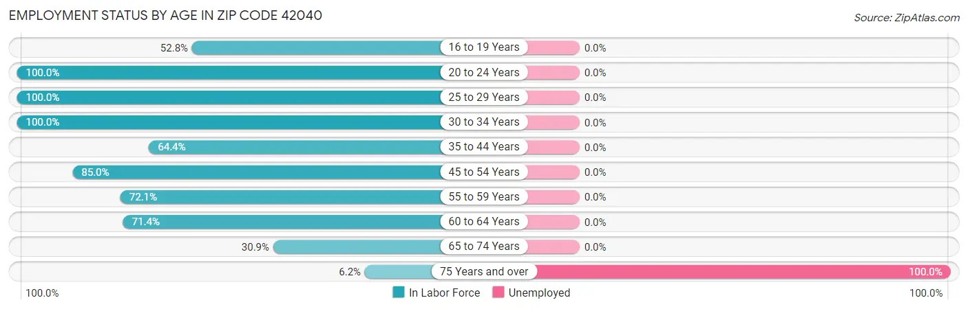 Employment Status by Age in Zip Code 42040