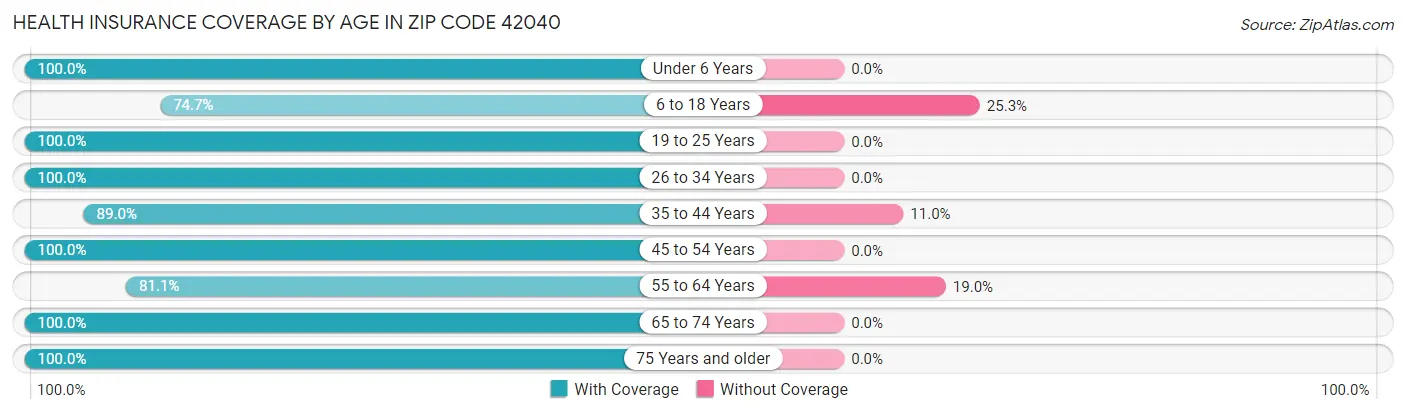 Health Insurance Coverage by Age in Zip Code 42040