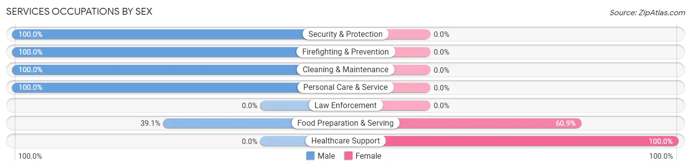 Services Occupations by Sex in Zip Code 42044