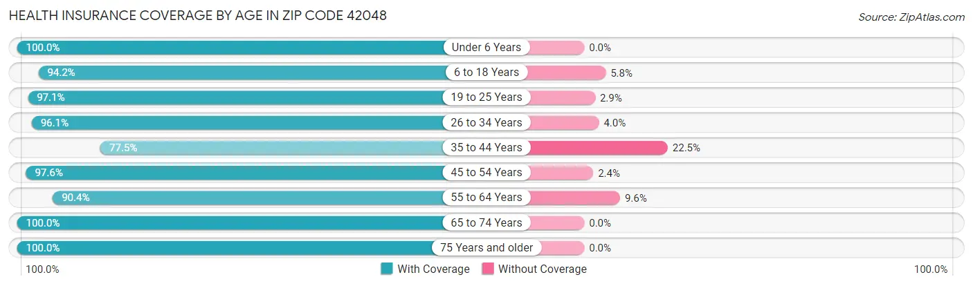 Health Insurance Coverage by Age in Zip Code 42048