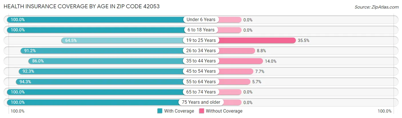 Health Insurance Coverage by Age in Zip Code 42053