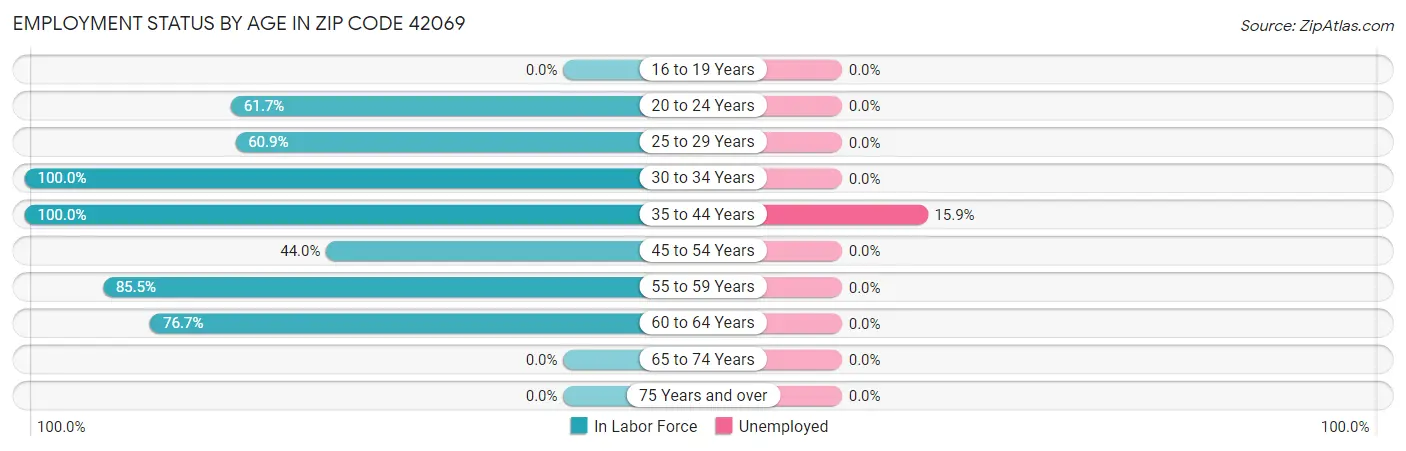 Employment Status by Age in Zip Code 42069