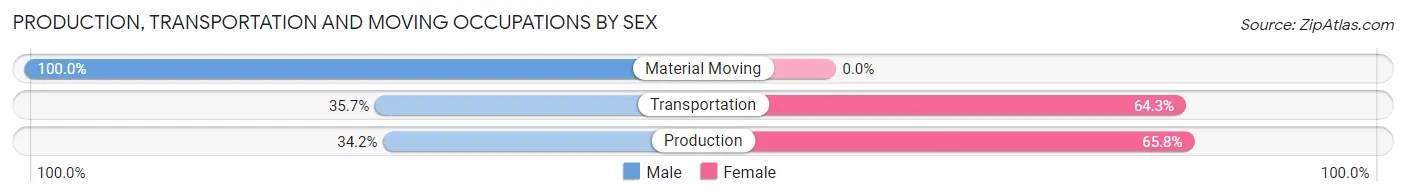 Production, Transportation and Moving Occupations by Sex in Zip Code 42069