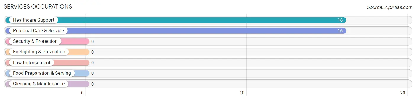 Services Occupations in Zip Code 42069