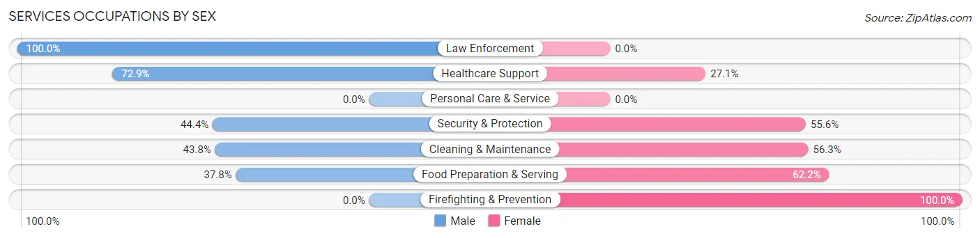 Services Occupations by Sex in Zip Code 42082
