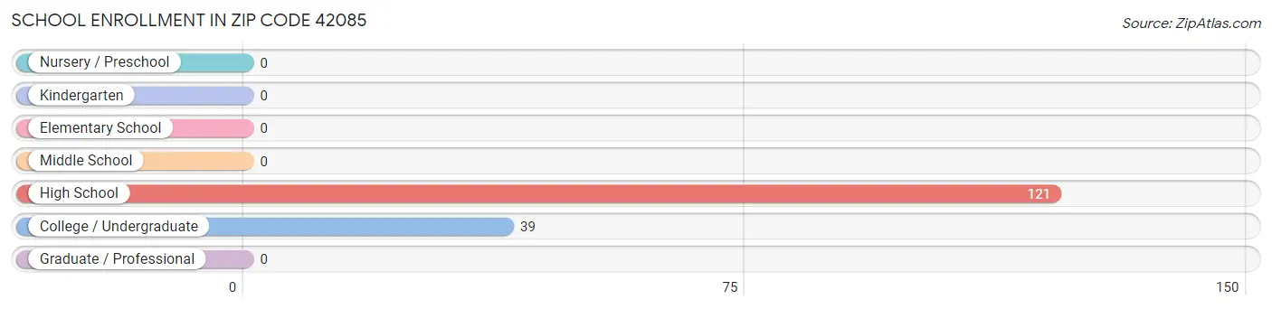 School Enrollment in Zip Code 42085