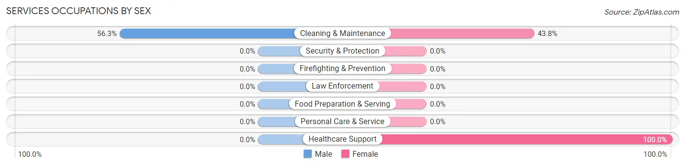 Services Occupations by Sex in Zip Code 42085