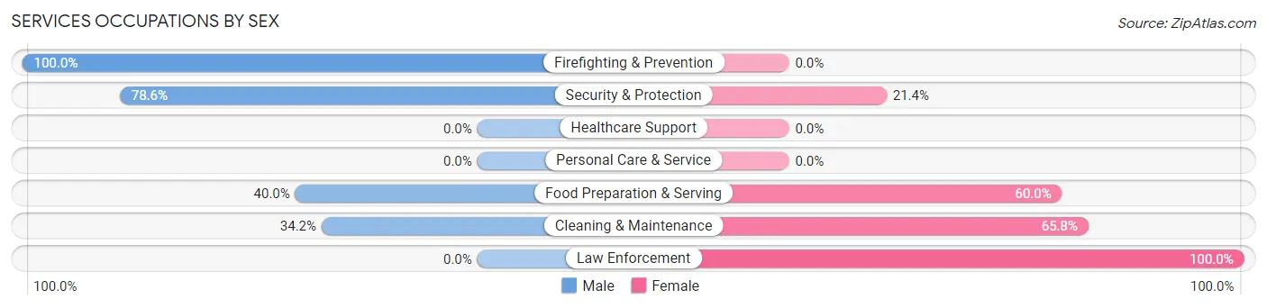 Services Occupations by Sex in Zip Code 42087