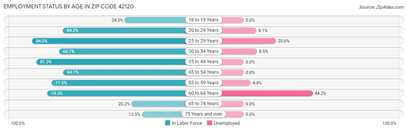 Employment Status by Age in Zip Code 42120
