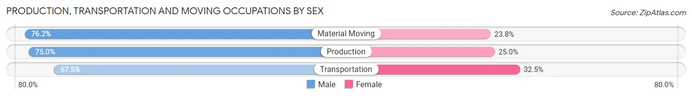 Production, Transportation and Moving Occupations by Sex in Zip Code 42120