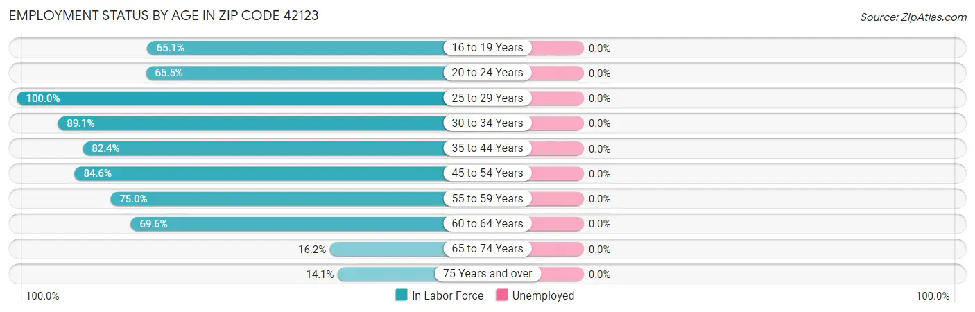 Employment Status by Age in Zip Code 42123