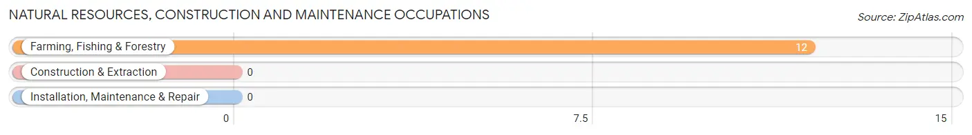 Natural Resources, Construction and Maintenance Occupations in Zip Code 42124