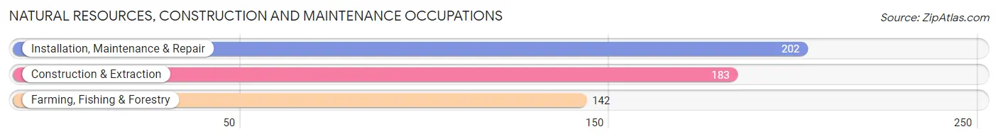 Natural Resources, Construction and Maintenance Occupations in Zip Code 42129