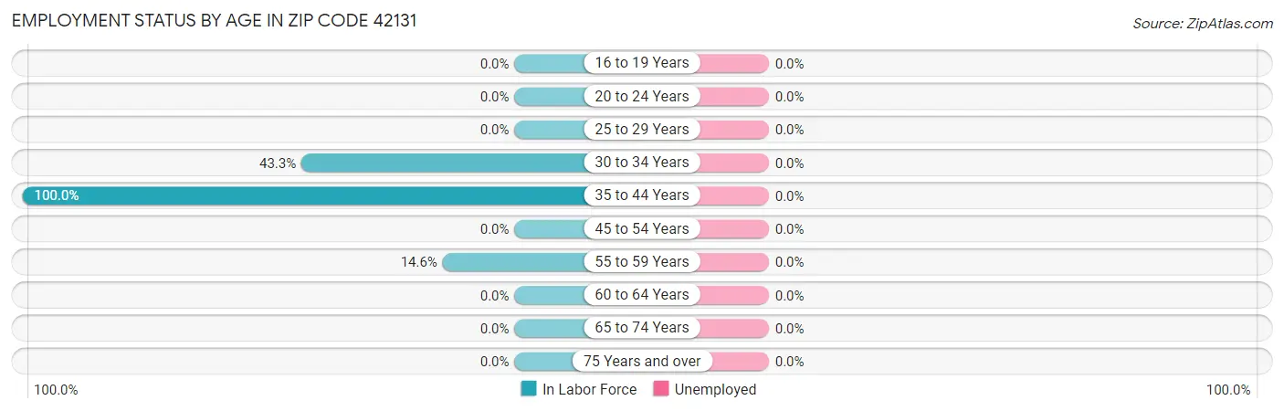 Employment Status by Age in Zip Code 42131