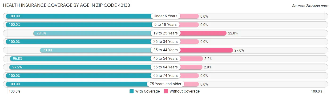 Health Insurance Coverage by Age in Zip Code 42133