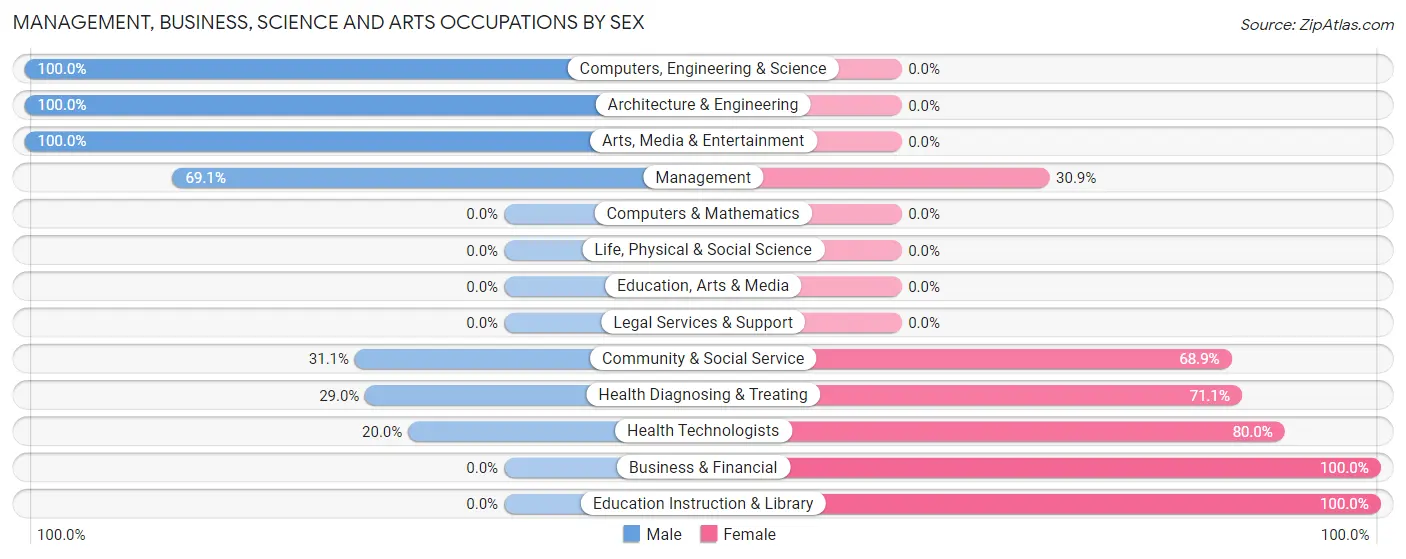 Management, Business, Science and Arts Occupations by Sex in Zip Code 42133