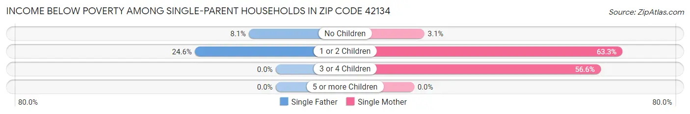 Income Below Poverty Among Single-Parent Households in Zip Code 42134