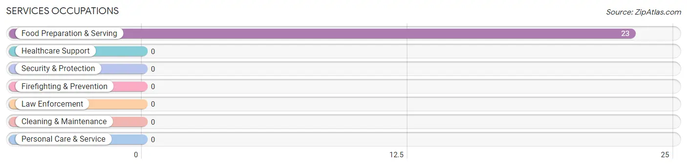 Services Occupations in Zip Code 42153