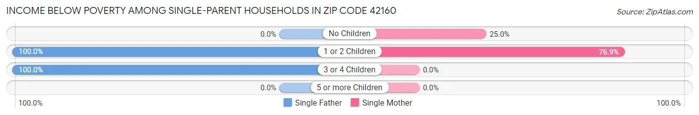 Income Below Poverty Among Single-Parent Households in Zip Code 42160