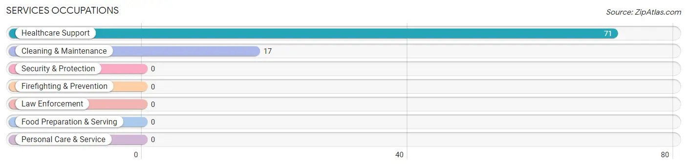 Services Occupations in Zip Code 42170