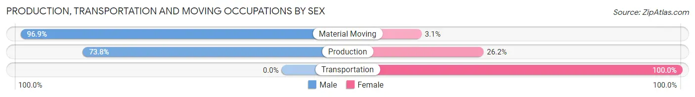 Production, Transportation and Moving Occupations by Sex in Zip Code 42202