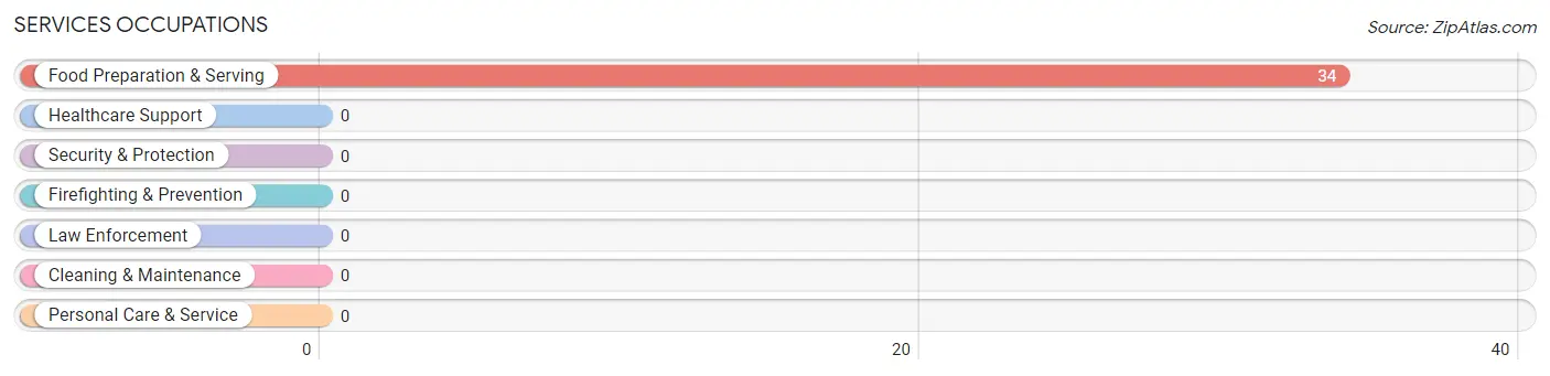 Services Occupations in Zip Code 42207