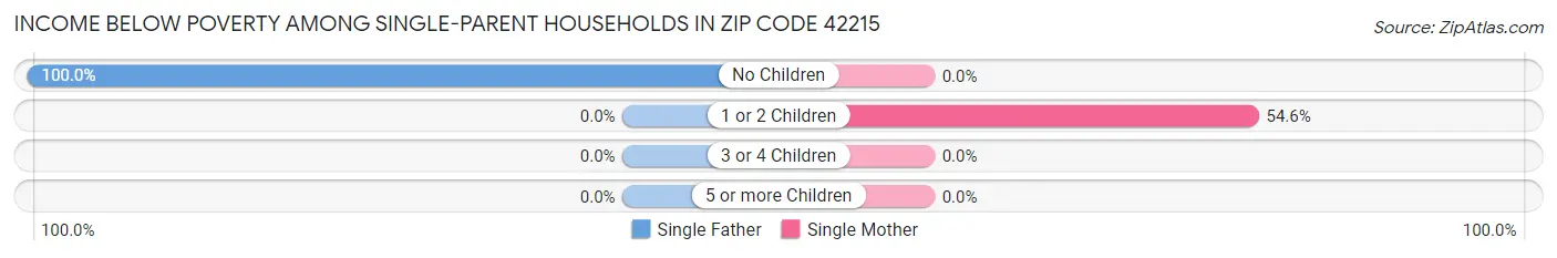 Income Below Poverty Among Single-Parent Households in Zip Code 42215