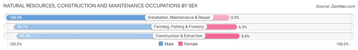 Natural Resources, Construction and Maintenance Occupations by Sex in Zip Code 42220