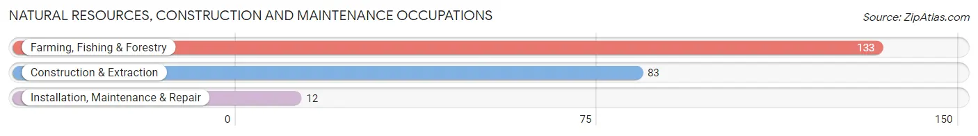 Natural Resources, Construction and Maintenance Occupations in Zip Code 42234