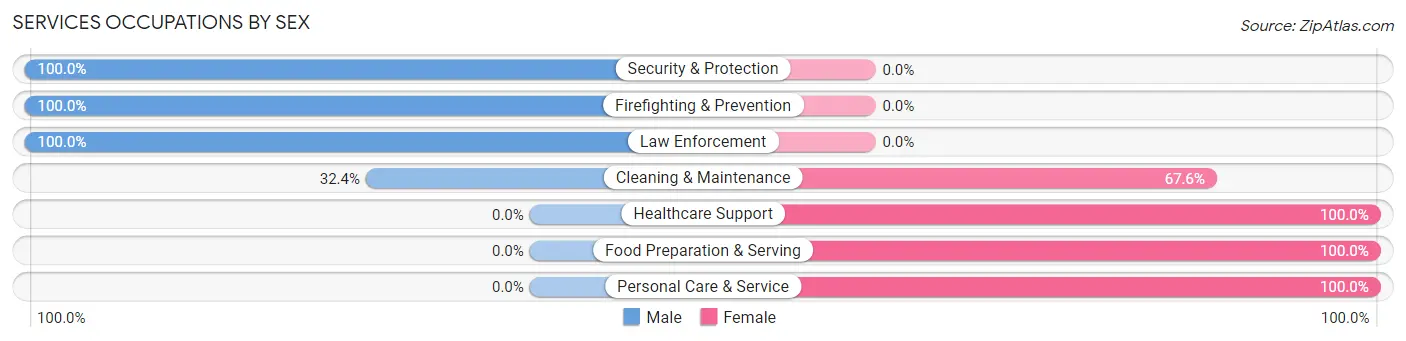 Services Occupations by Sex in Zip Code 42262
