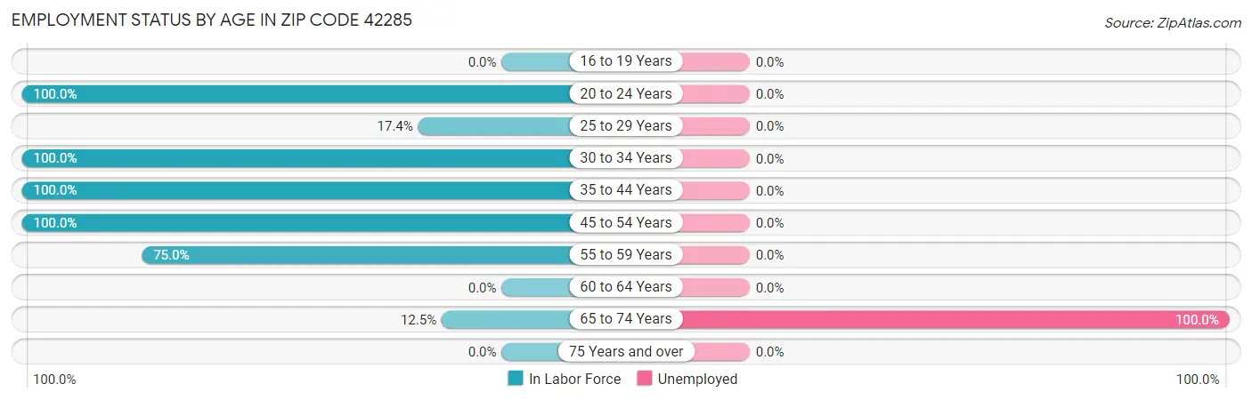 Employment Status by Age in Zip Code 42285