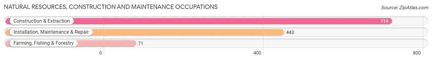 Natural Resources, Construction and Maintenance Occupations in Zip Code 42303