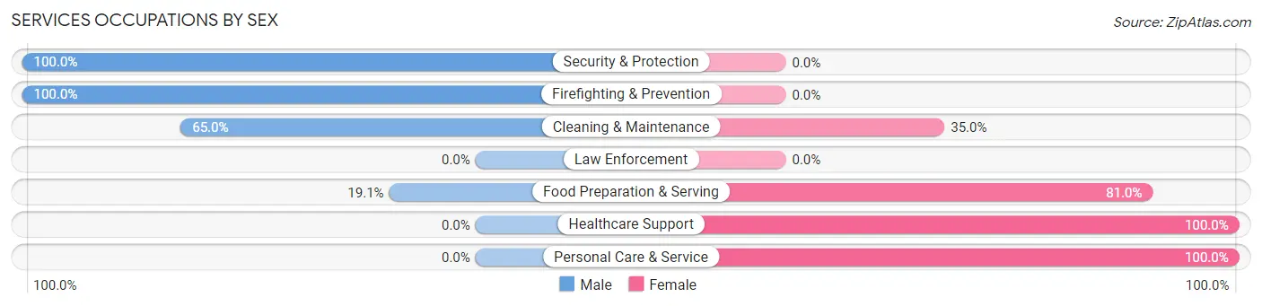 Services Occupations by Sex in Zip Code 42328