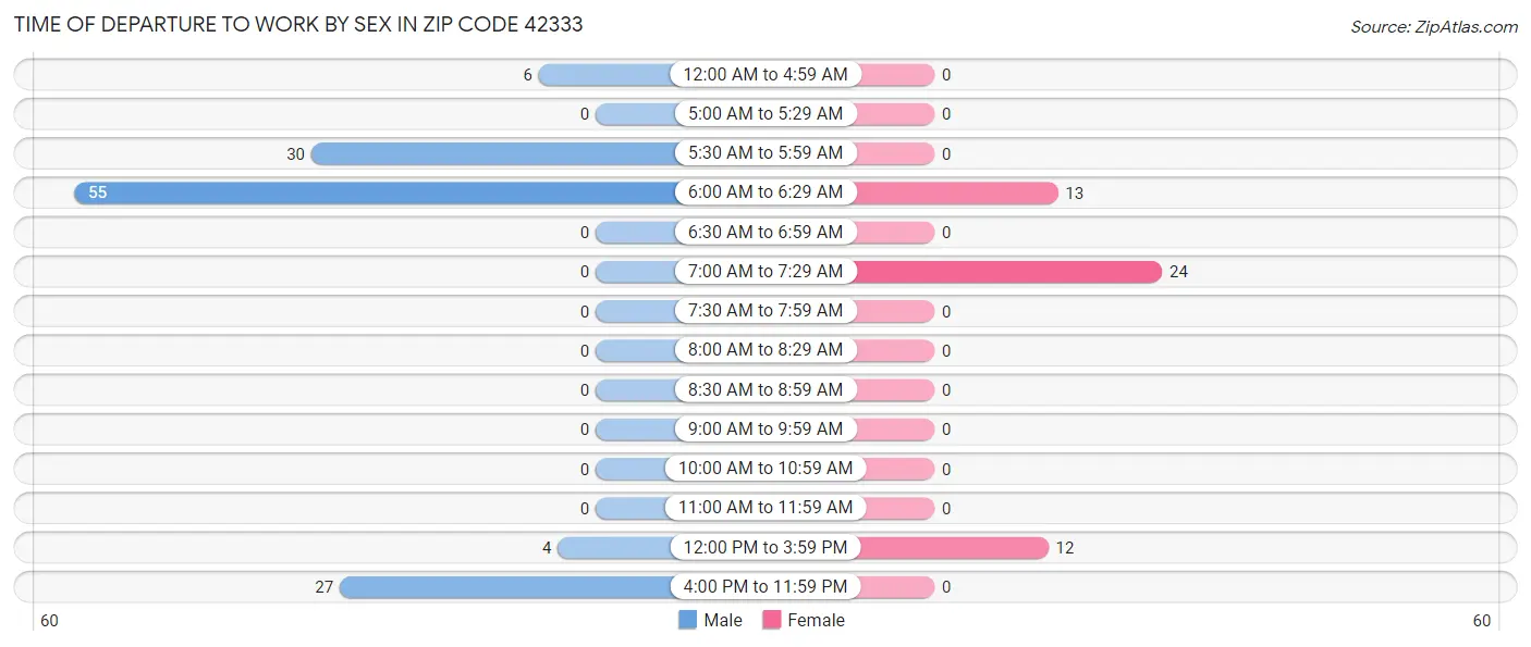 Time of Departure to Work by Sex in Zip Code 42333