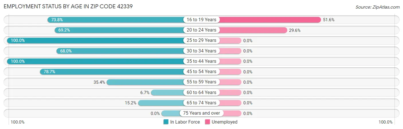 Employment Status by Age in Zip Code 42339