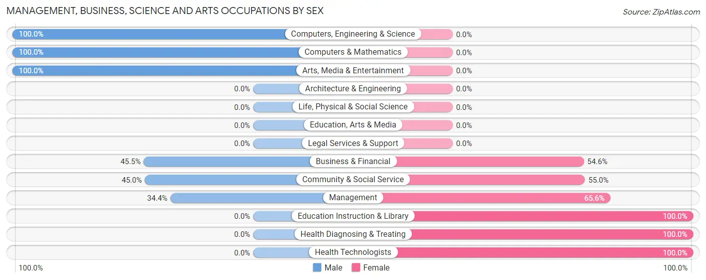 Management, Business, Science and Arts Occupations by Sex in Zip Code 42339