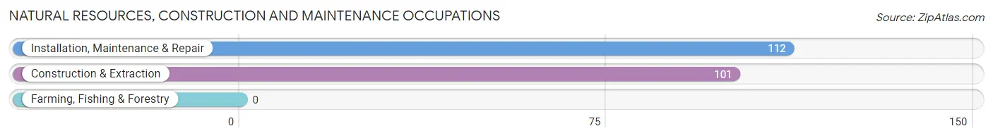 Natural Resources, Construction and Maintenance Occupations in Zip Code 42351