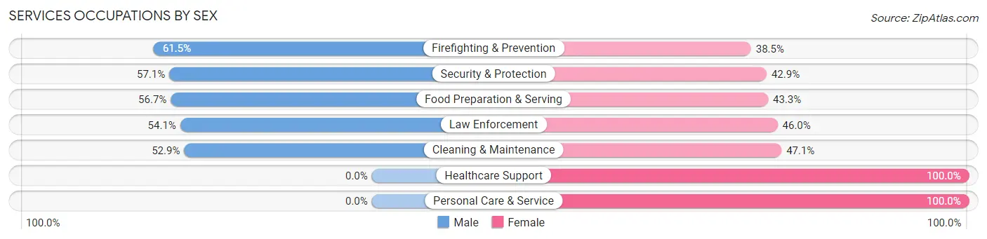 Services Occupations by Sex in Zip Code 42366