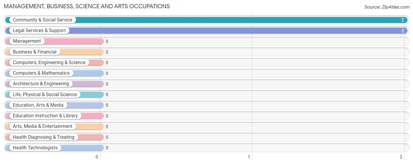 Management, Business, Science and Arts Occupations in Zip Code 42374