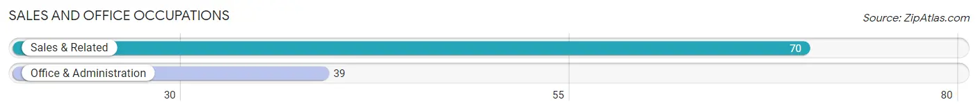 Sales and Office Occupations in Zip Code 42411