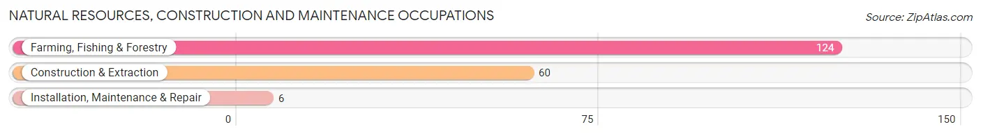 Natural Resources, Construction and Maintenance Occupations in Zip Code 42436