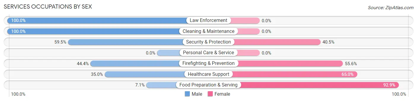 Services Occupations by Sex in Zip Code 42441