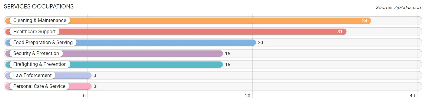 Services Occupations in Zip Code 42456