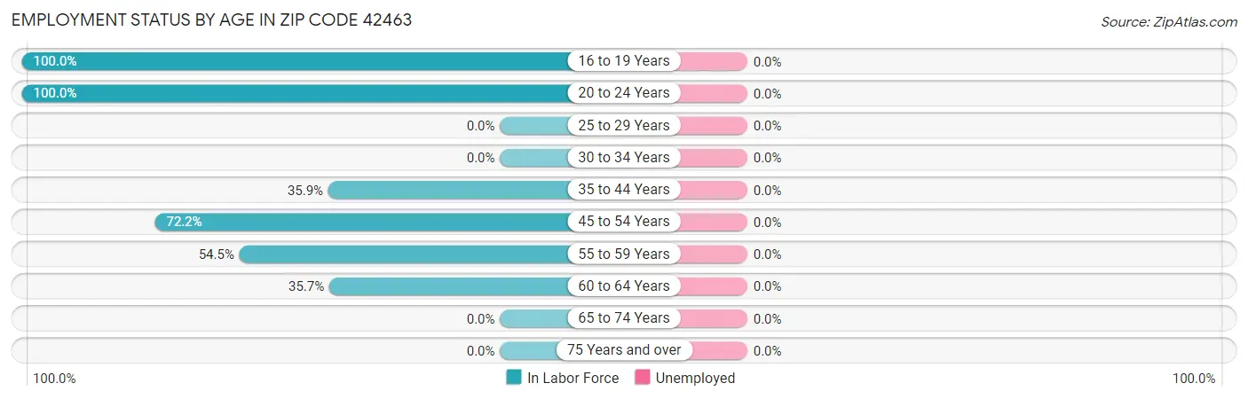 Employment Status by Age in Zip Code 42463
